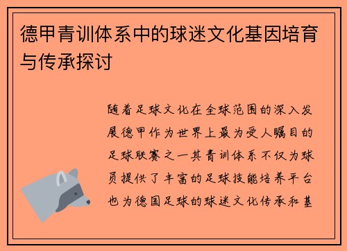 德甲青训体系中的球迷文化基因培育与传承探讨