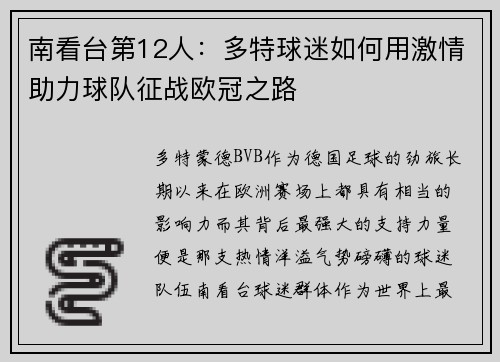 南看台第12人：多特球迷如何用激情助力球队征战欧冠之路